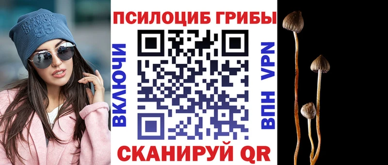 Галлюциногенные грибы MAGIC MUSHROOMS  Суджа 
